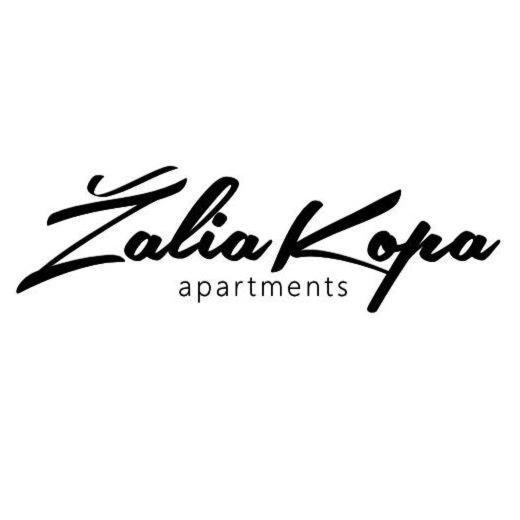Zalia Kopa Apartments Palanga Ngoại thất bức ảnh